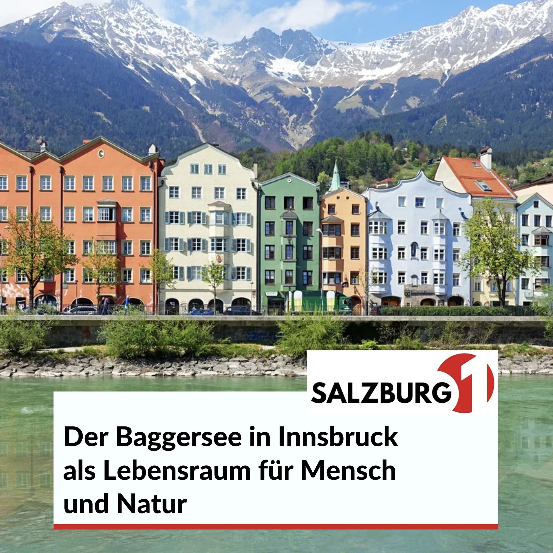 Der Baggersee in Innsbruck als Lebensraum für Mensch und Natur Der Baggersee in Innsbruck als Lebensraum für Mensch und Natur