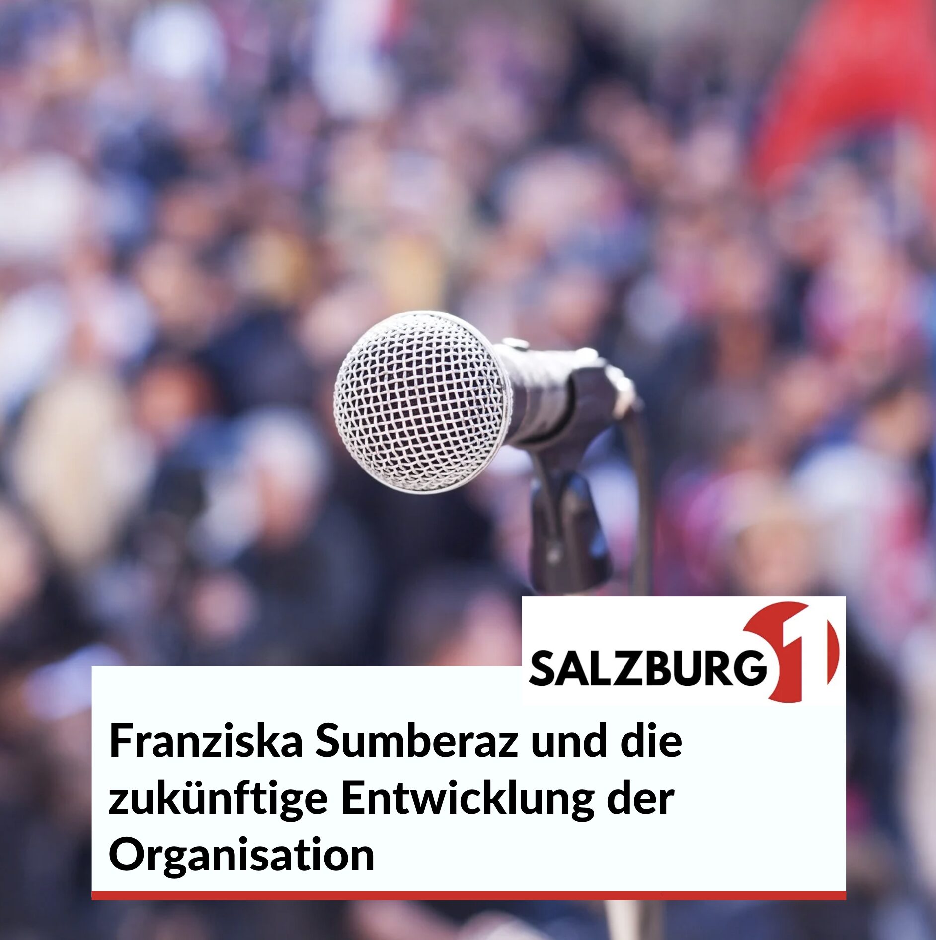 Franziska Sumberaz und die zukünftige Entwicklung der Organisation Franziska Sumberaz und die zukünftige Entwicklung der Organisation