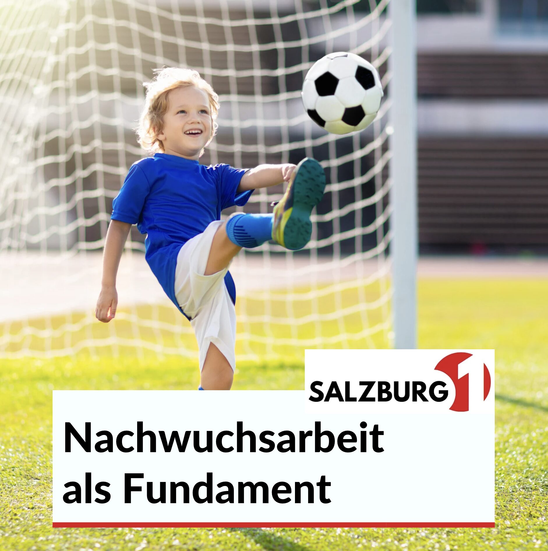 Nachwuchsarbeit als Fundament Nachwuchsarbeit als Fundament