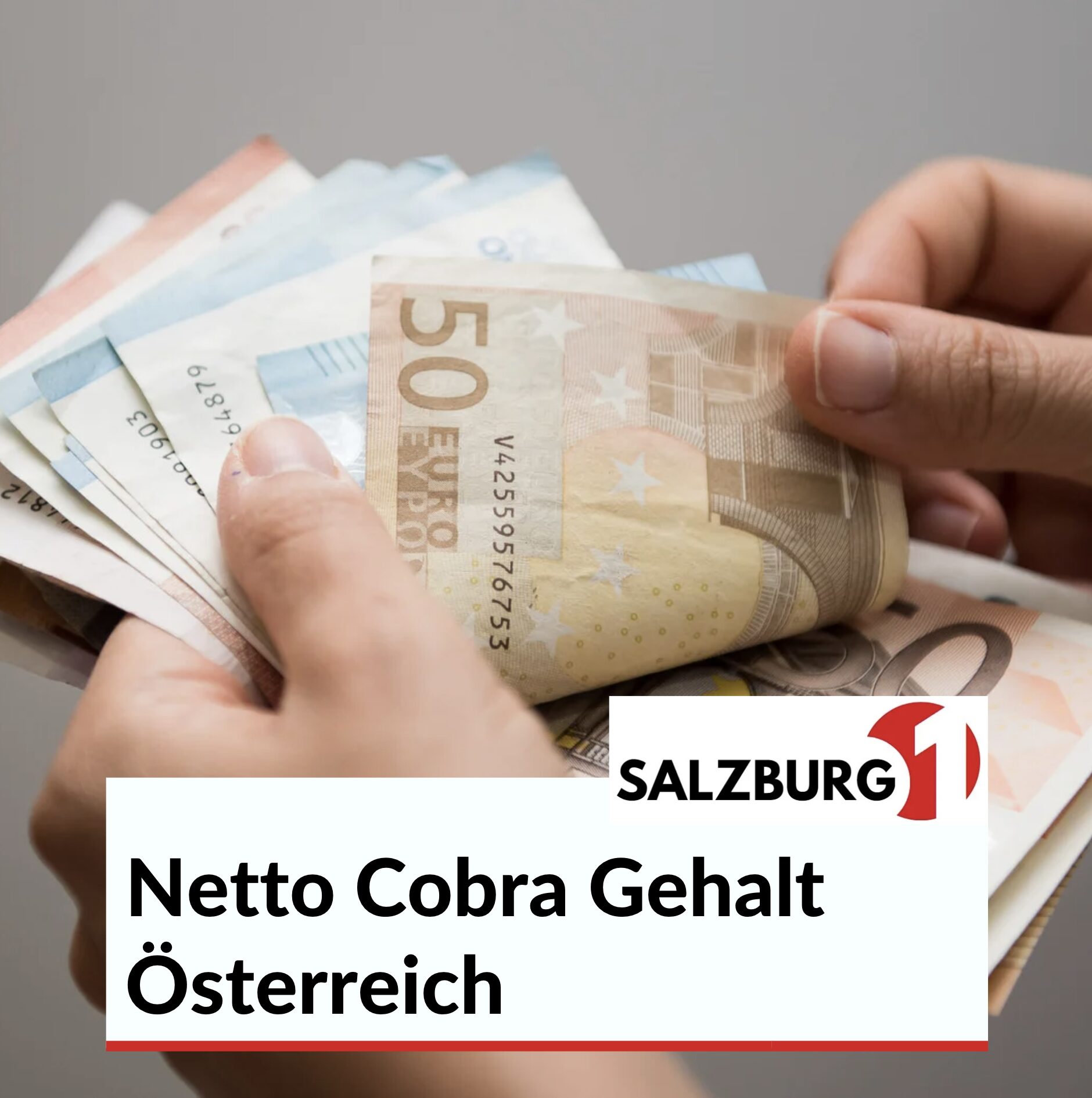 Netto Cobra Gehalt Österreich im direkten Überblick Netto Cobra Gehalt Österreich im direkten Überblick