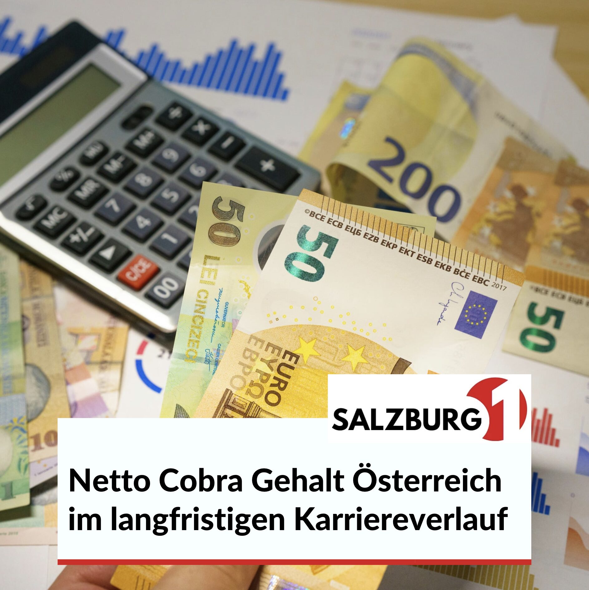 Netto Cobra Gehalt Österreich im langfristigen Karriereverlauf Netto Cobra Gehalt Österreich im langfristigen Karriereverlauf