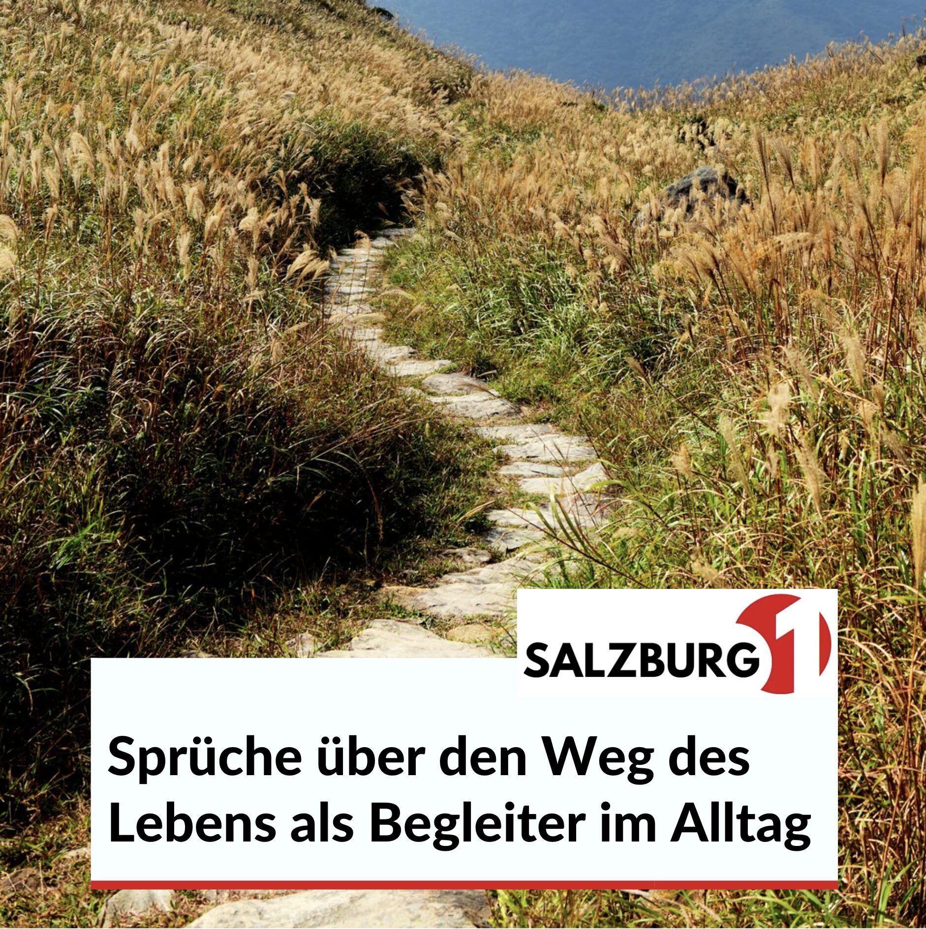 Sprüche über den Weg des Lebens als Begleiter im Alltag Sprüche über den Weg des Lebens als Begleiter im Alltag