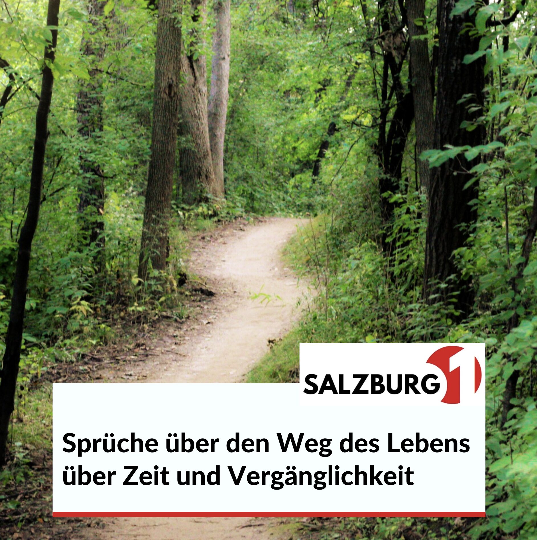 Sprüche über den Weg des Lebens über Zeit und Vergänglichkeit Sprüche über den Weg des Lebens über Zeit und Vergänglichkeit