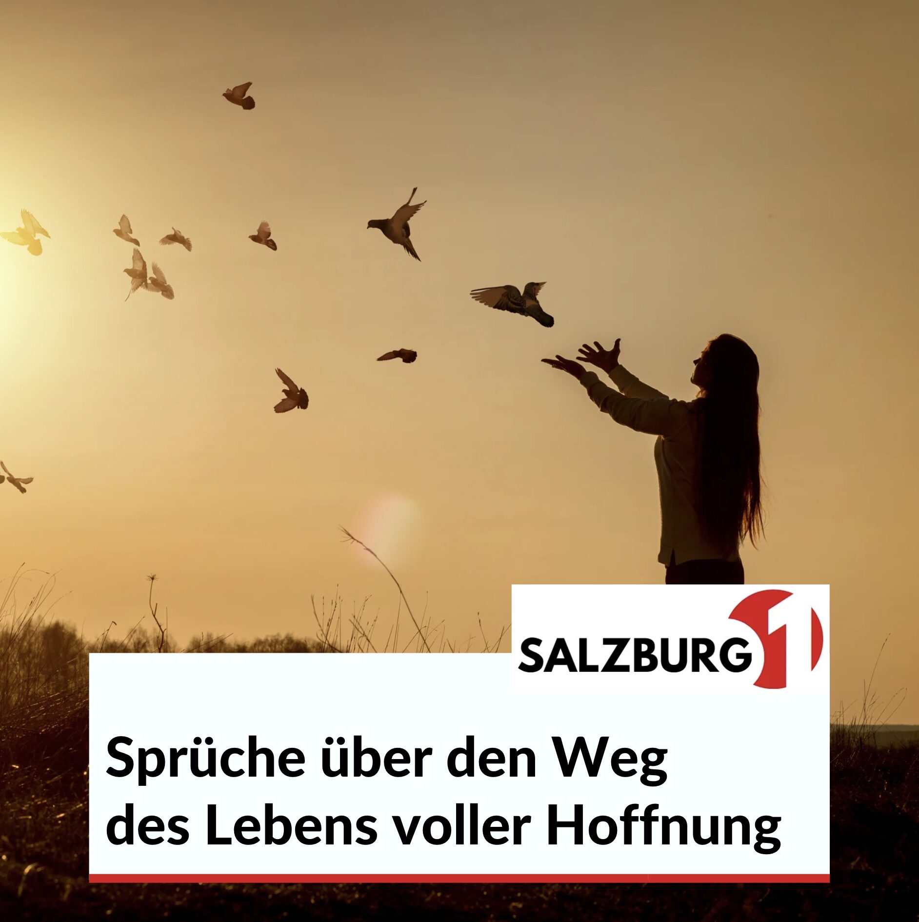 Sprüche über den Weg des Lebens voller Hoffnung Sprüche über den Weg des Lebens voller Hoffnung