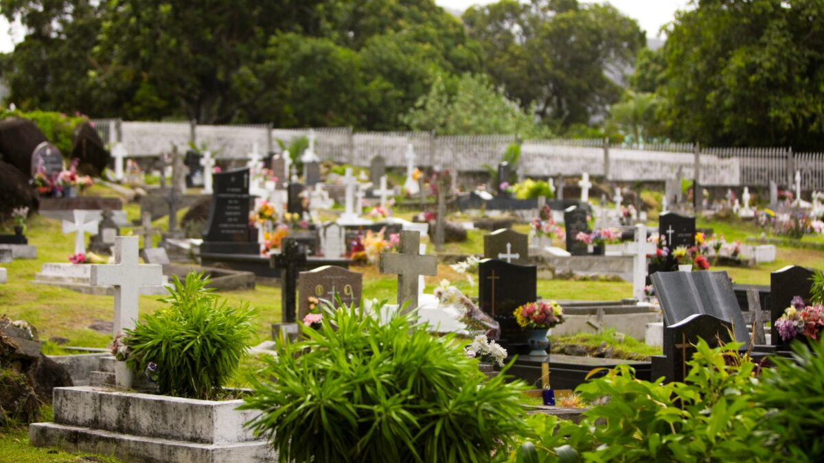 Blumen für Friedhof wenig Wasser reicht für eine würdevolle Grabgestaltung