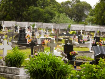 Blumen für Friedhof wenig Wasser reicht für eine würdevolle Grabgestaltung