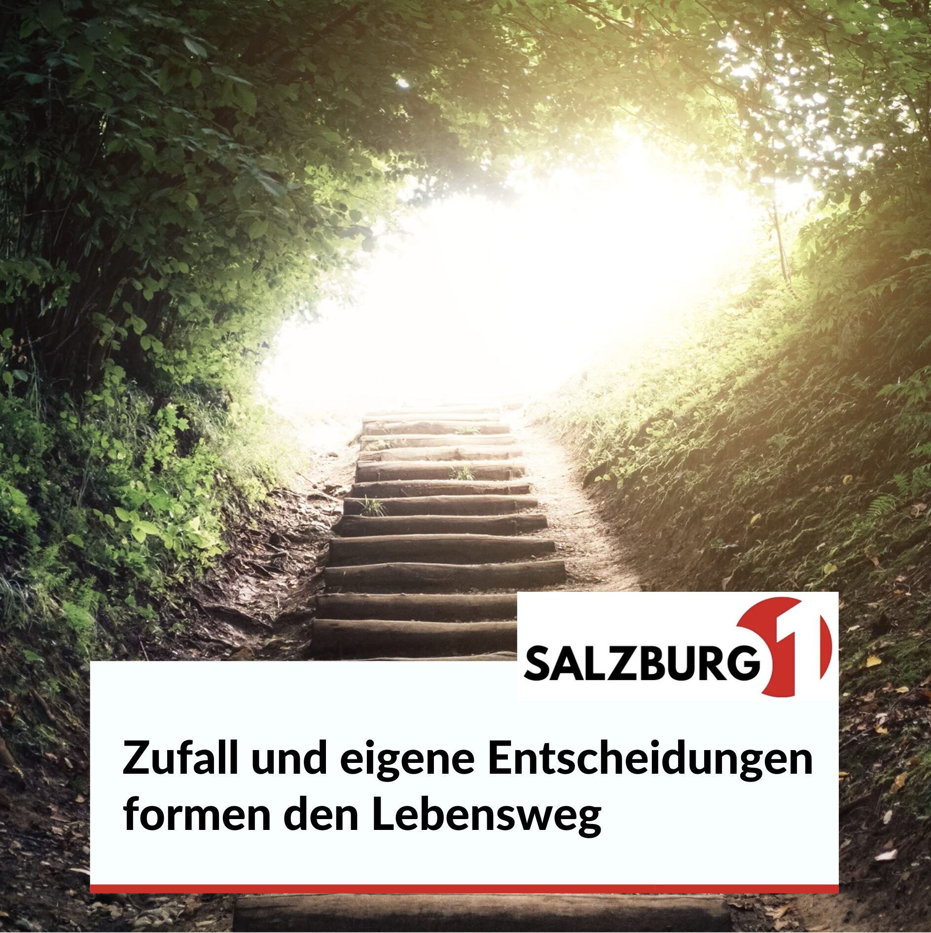 Zufall und eigene Entscheidungen formen den Lebensweg Zufall und eigene Entscheidungen formen den Lebensweg