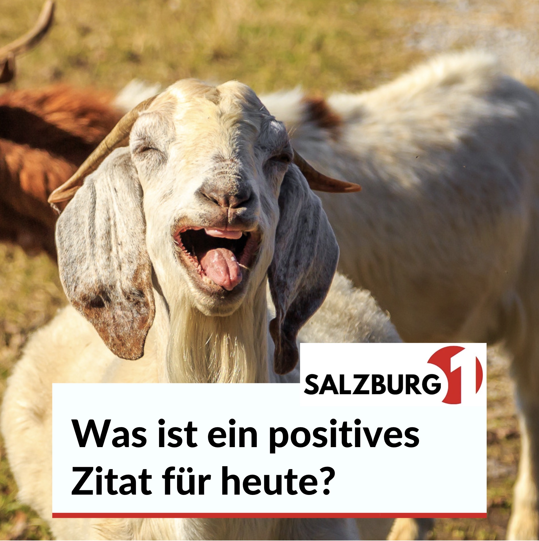 Was ist ein positives Zitat für heute? Was ist ein positives Zitat für heute?