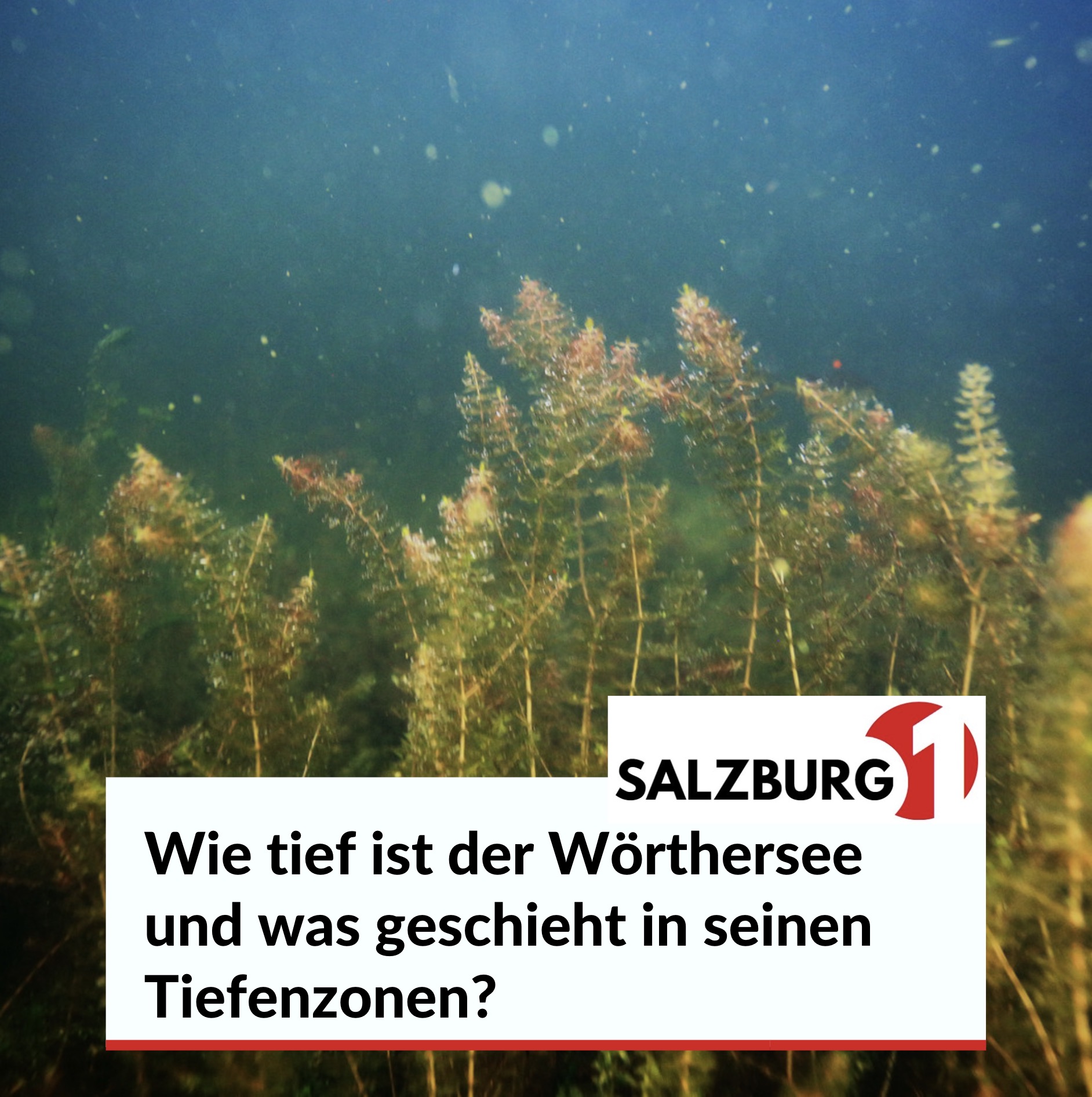 Wie tief ist der Wörthersee und was geschieht in seinen Tiefenzonen? Wie tief ist der Wörthersee und was geschieht in seinen Tiefenzonen?