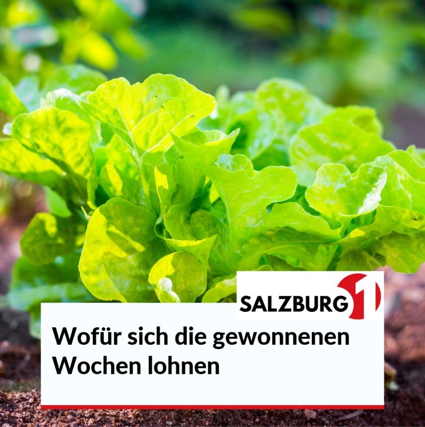 Wofür sich die gewonnenen Wochen lohnen Wofür sich die gewonnenen Wochen lohnen